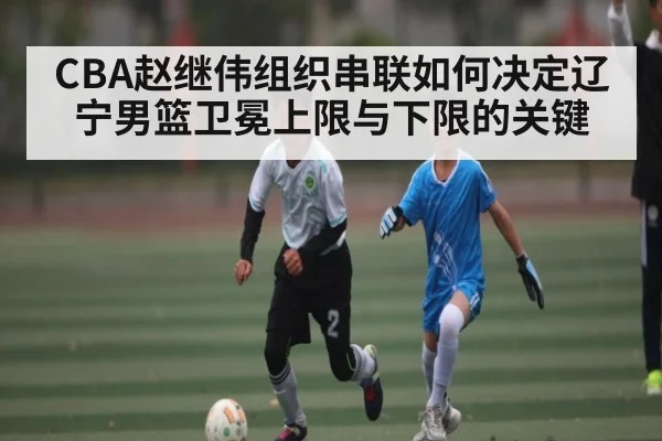 CBA赵继伟组织串联如何决定辽宁男篮卫冕上限与下限的关键